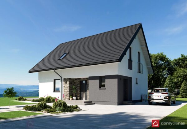 N42-BG_L_perspektywa-boczna_2