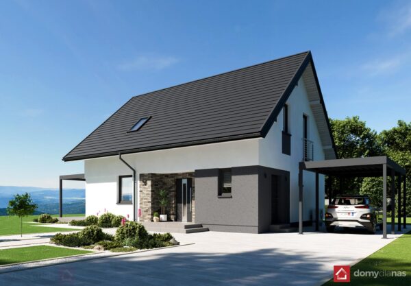 N42-BG_L_perspektywa-boczna_2_p