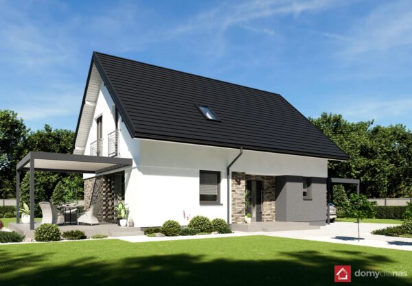 N42-BG_L_perspektywa-frontowa_2_p