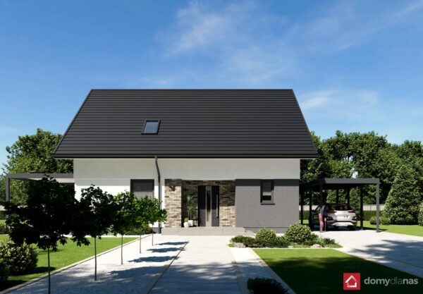 N42-BG_L_perspektywa-frontowa_4_p