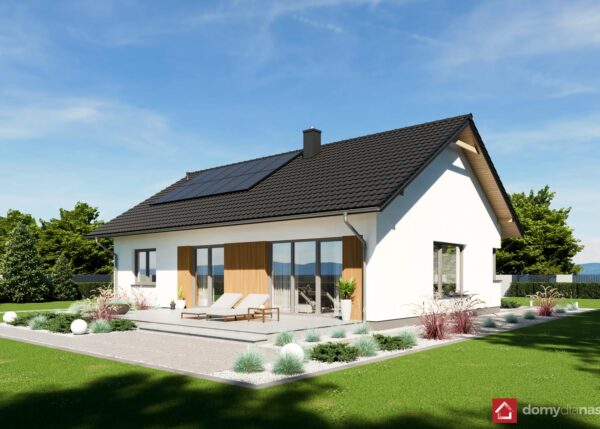 N3-BG_L_perspektywa_boczna_1