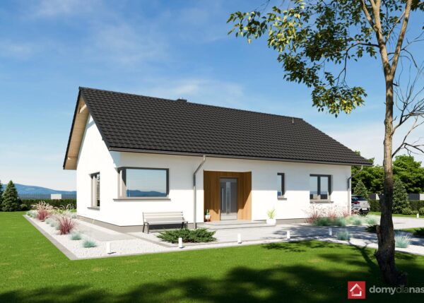 N3-BG_L_perspektywa_frontowa_1