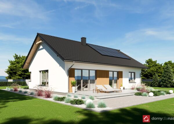 N3-BG_perspektywa_boczna_1