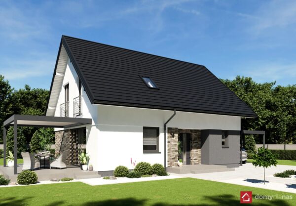 N42-BG_L_perspektywa-frontowa_1_p_