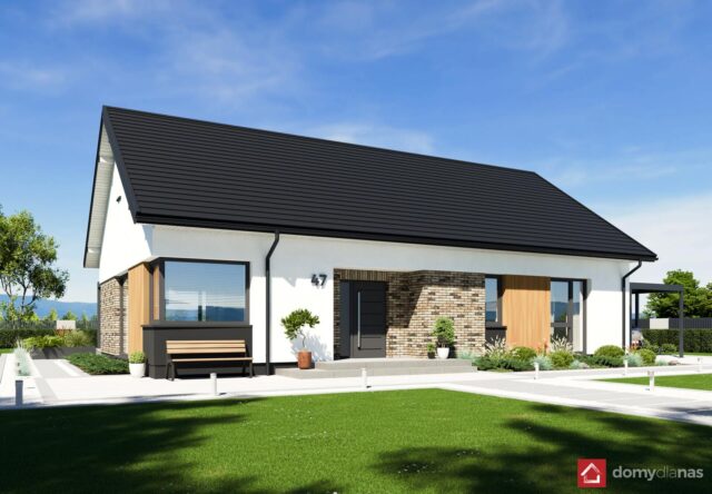 N47-BG_L_perspektywa-frontowa_1