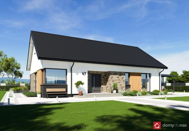 N47-BG_L_perspektywa-frontowa_2