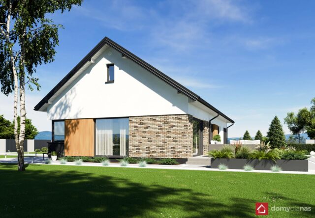 N47-BG_perspektywa-boczna_1