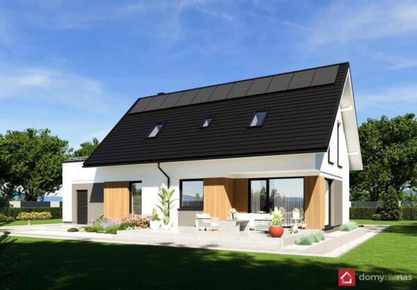 N49-G1_L_perspektywa-ogrodowa_2